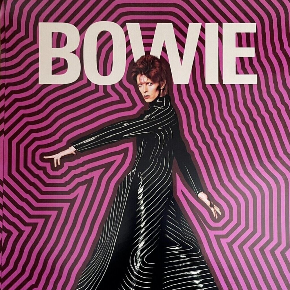 MOONAGE DAYDREAM 11" X 17" Promo MOVIE Poster DAVID BOWIE Ziggy DOCUMENT… - Picture 3 of 3